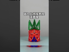 Zgromadzenie płytek magnetycznych z uniwersalnymi kształtami dla zwierząt i roślin Ananas House